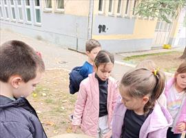 240bd7ea-29cf-4dfd-8017-2a86a613f715.jpg
